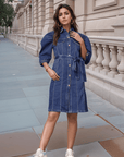 Blue Solid Shirt Collar Dress