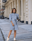 Light Blue Solid Shirt Collar Dress