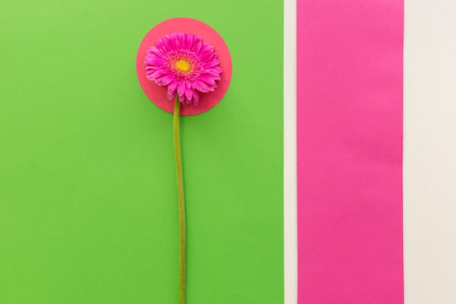 Fuchsia Lime and Other Bright Colors Define Spring 2026 Palette