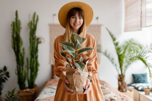 Sustainable Fashion: The Rise of Eco-Friendly Options