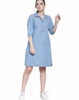 Blue Denim A-Line Dress