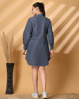 Puff Sleeve Fit & Flare Dress