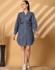 Puff Sleeve Fit & Flare Dress